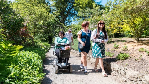 A group with a lady in a wheelchair exploring the accessible route at Bodnant Garden, Conwy